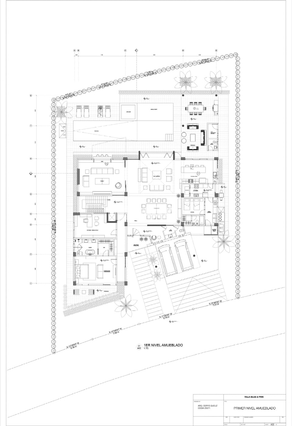 Project en CAP CANA, CAP CANA