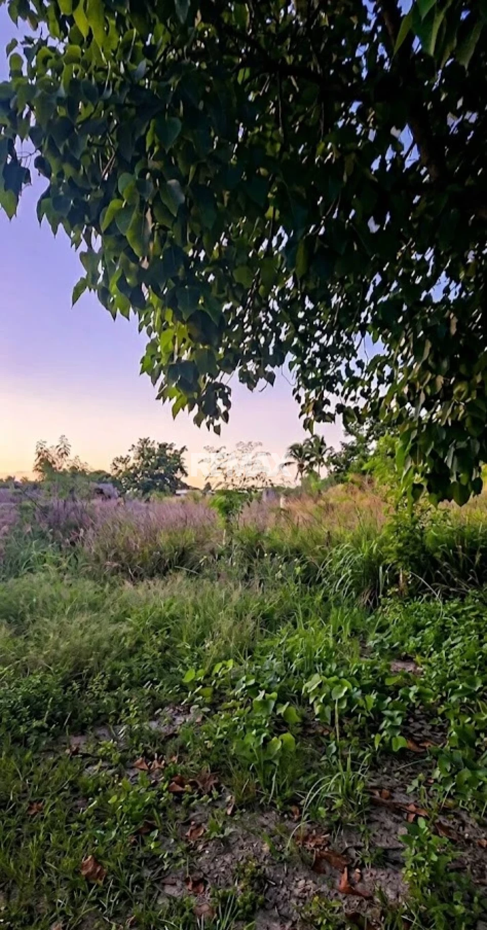 Terreno en ANDRÉS CENTRO, BOCA CHICA
