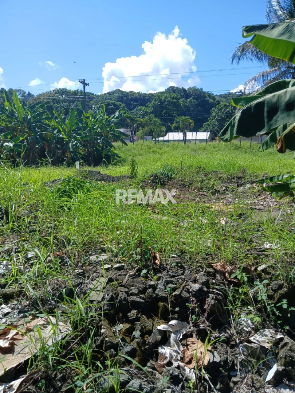 Terreno en ABREU, CABRERA