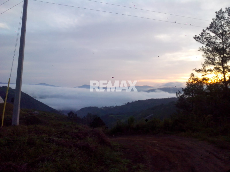 Property view 11