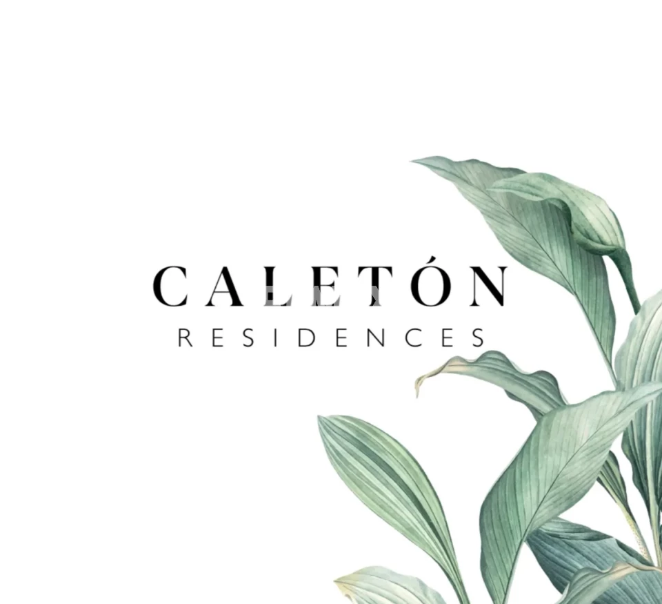 Land en CAP CANA, EL CALETON