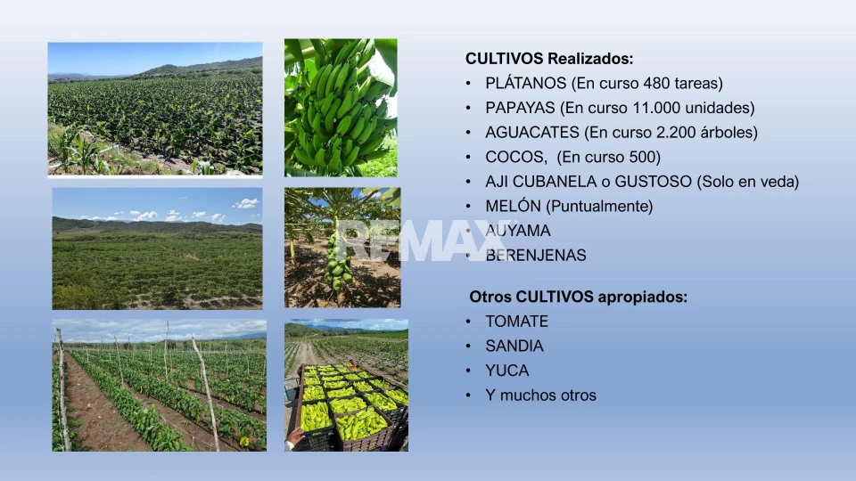 Terreno en TABARA ARRIBA, AZUA