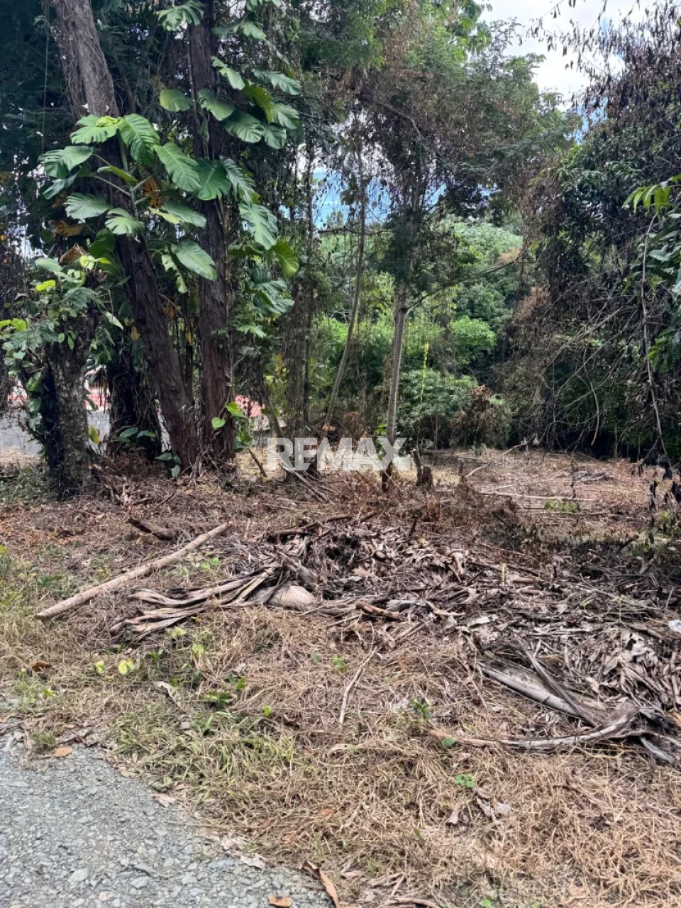 Terreno en LOMAS LINDAS (KM. 29), PEDRO BRAND