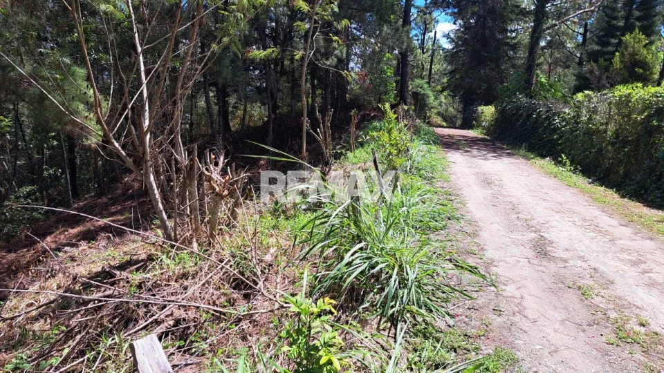 Terreno en ARROYO FRÍO, CONSTANZA