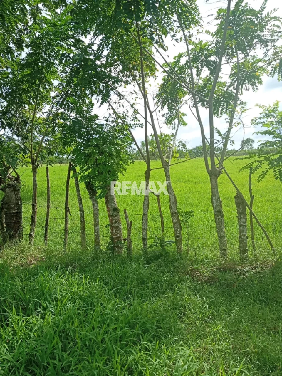 Property view 2