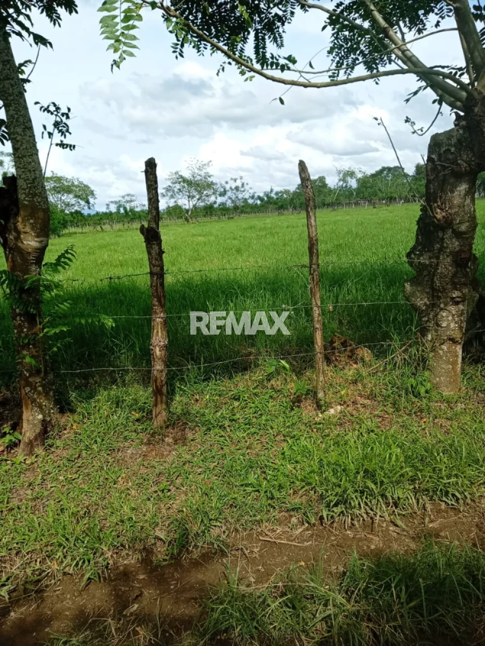 Property view 1