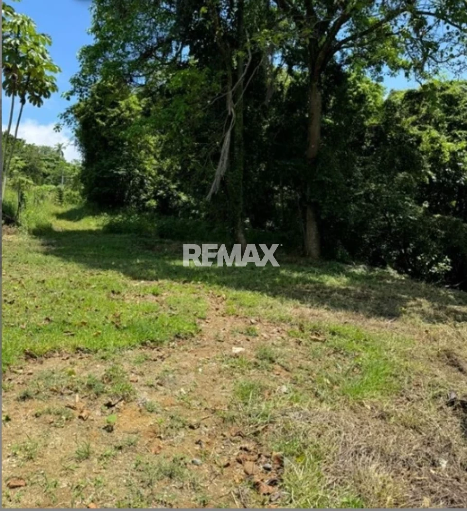Property view 2