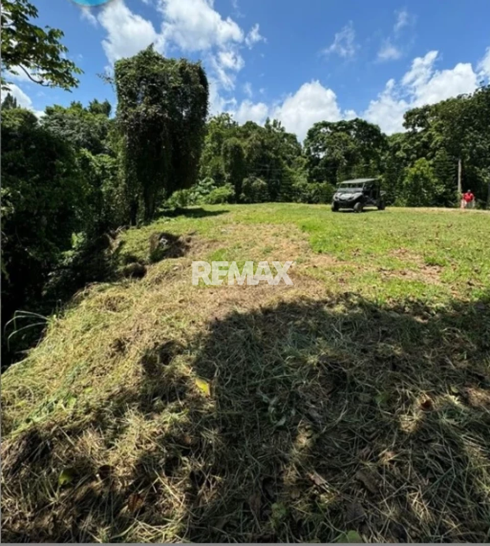 Property view 1
