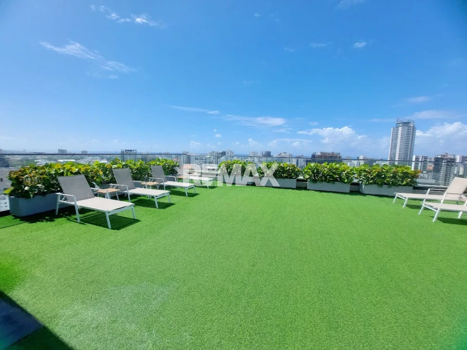 Property view 12