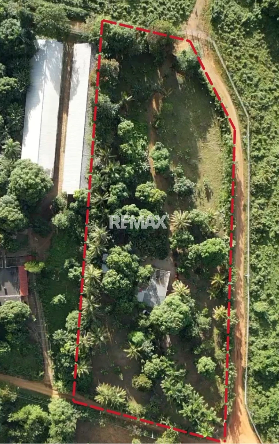 Terreno en SANTA CRUZ, PEDRO BRAND