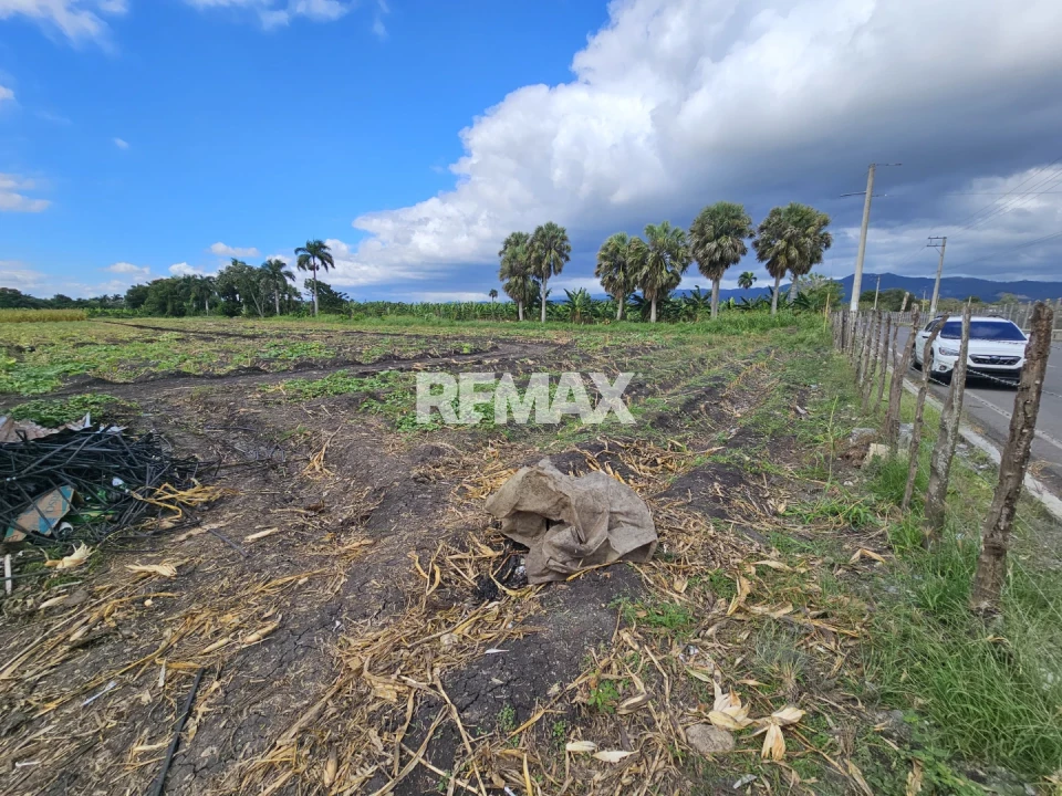 Terreno en MOCA, EL CAIMITO DE LA ROSARIO