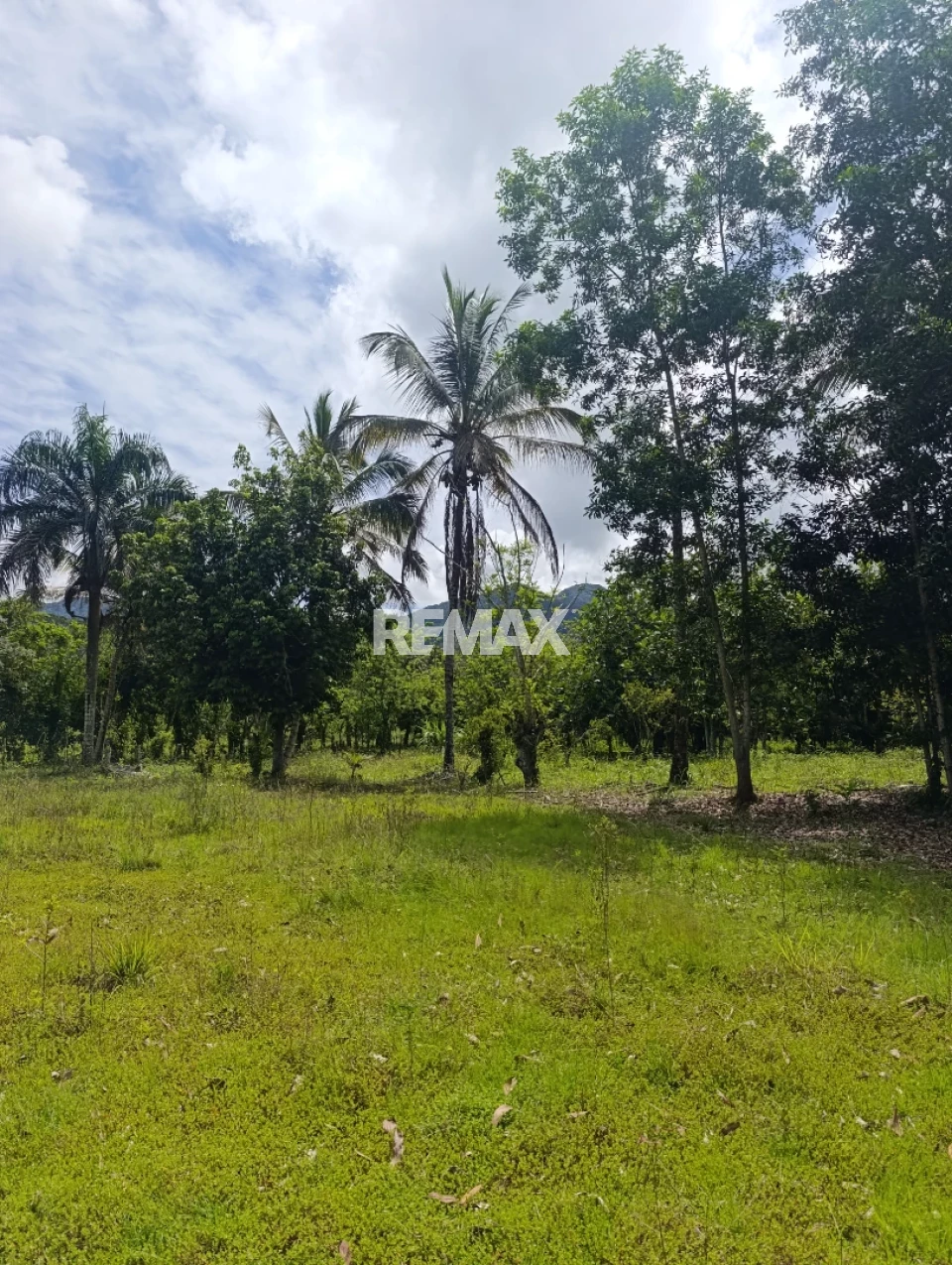 Land en SAN CRISTÓBAL, VILLA ALTAGRACIA